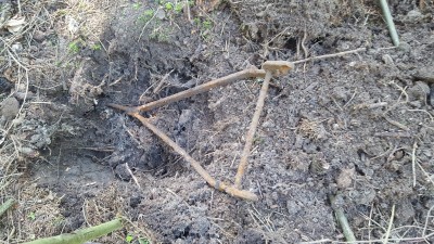 20190714_100838.jpg