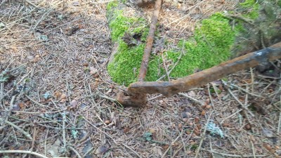 20190714_100817.jpg