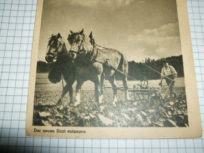 DSCF0727.JPG