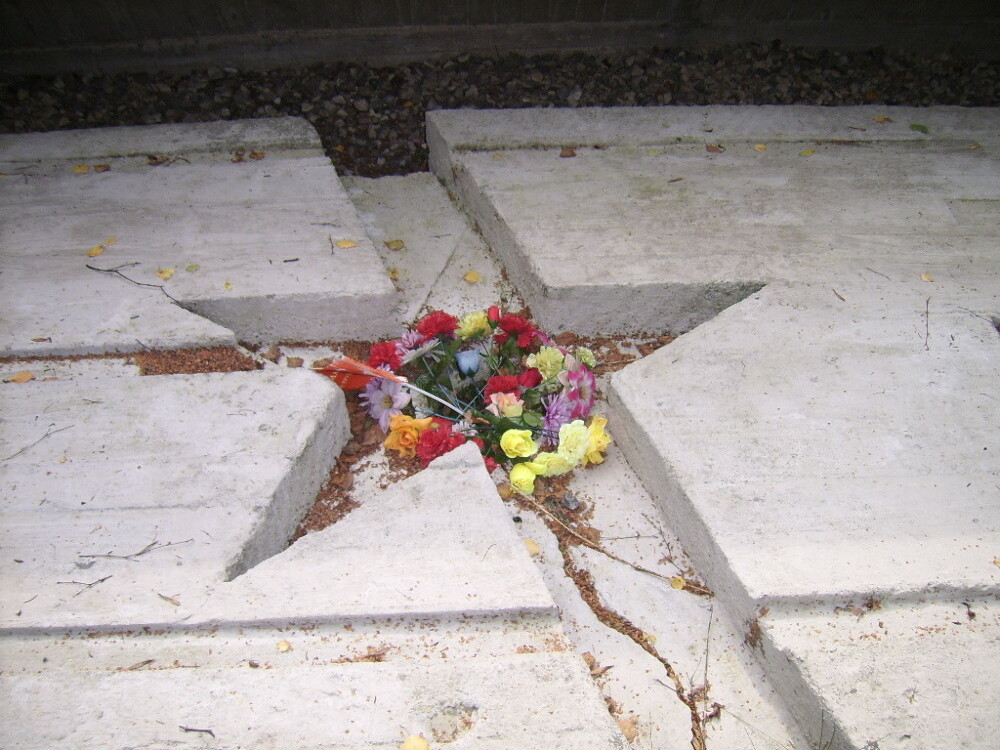 SSA51460.JPG