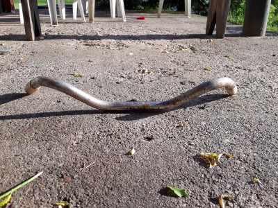 20190726_185229.jpg