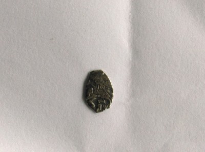 IMAG1234.jpg