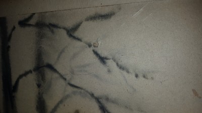 20190822_171535.jpg