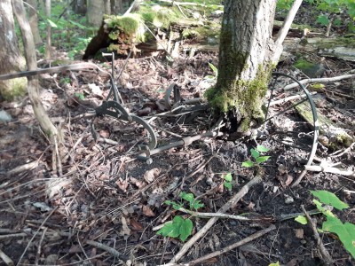 20190826_165545.jpg