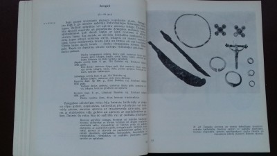 20190901_190656.jpg