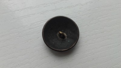 20190902_121241.jpg