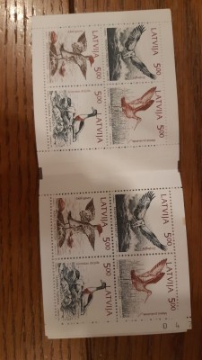 IMG-20190911-WA0051.jpg