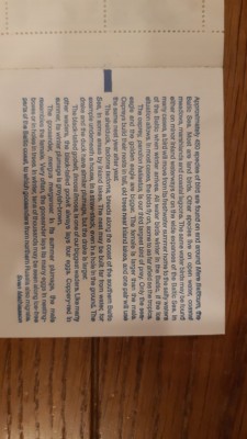 IMG-20190911-WA0052.jpg