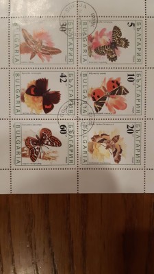 IMG-20190911-WA0086.jpg