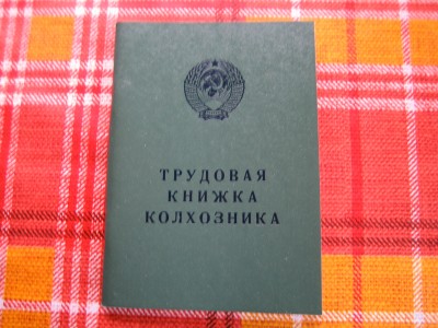 IMG_7833.JPG