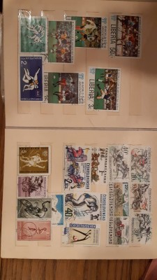 IMG-20190912-WA0068.jpg