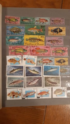IMG-20190914-WA0018.jpg