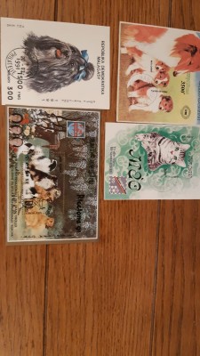 IMG-20190915-WA0004.jpg