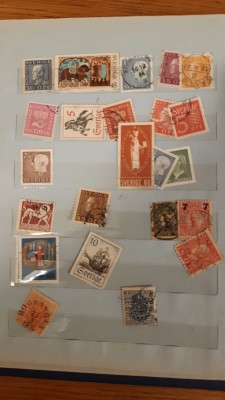 IMG-20190916-WA0017.jpg