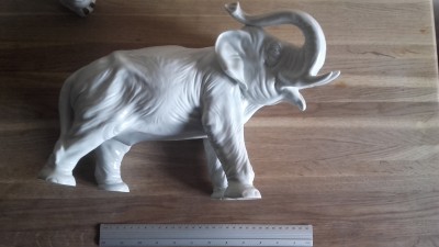 20190917_083830.jpg