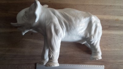 20190917_083900.jpg