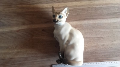 20190917_083954.jpg