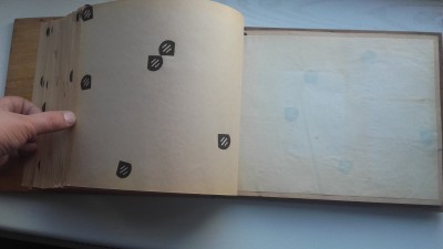 20190919_164635.jpg