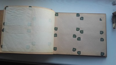 20190919_164603.jpg