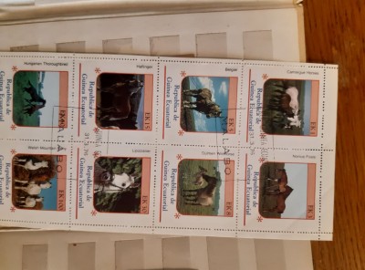 70558587_679286825902006_2103168922764181504_n.jpg