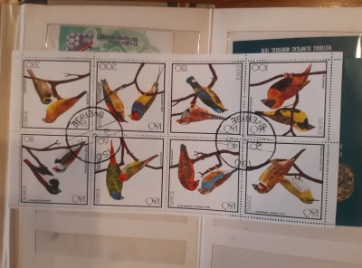 70653150_2354802228075180_6345172301272580096_n.jpg