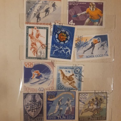 71079931_1342705352581659_6564173216271564800_n.jpg