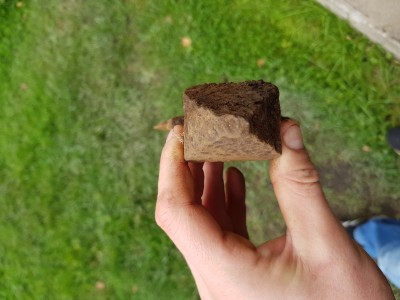 20190922_120822.jpg