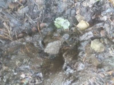 20190927_134745.jpg