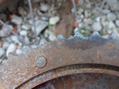 20191004_132804.jpg