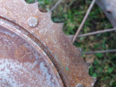 20191004_132928.jpg
