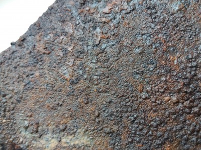 20191006_093924.jpg