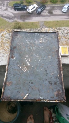 IMG-20191008-WA0001.jpg
