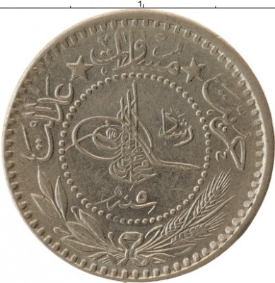 1519601_r.jpg