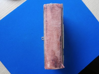 P1011701.JPG