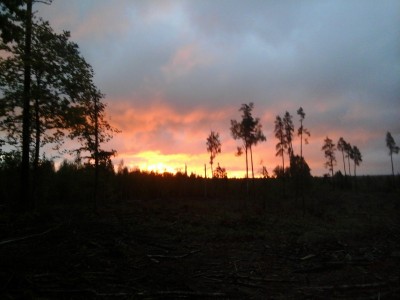 Fotoattēls0116.jpg