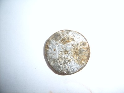 SUC53418.JPG