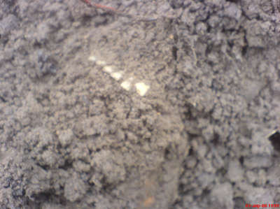 DSC00044.JPG