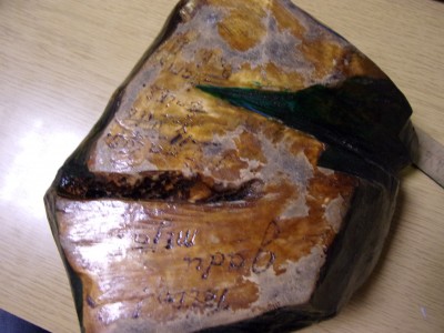 100_7008.JPG