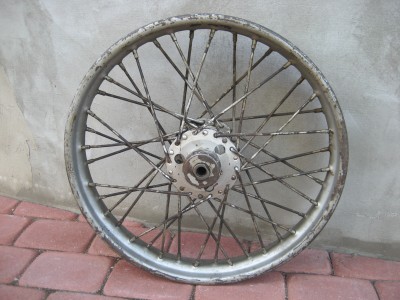 rats 001.JPG
