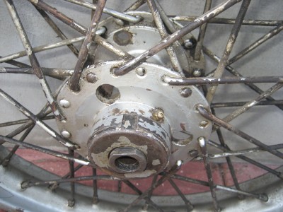 rats 003.JPG