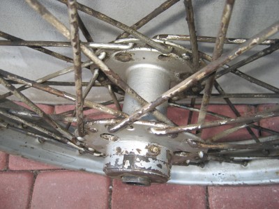 rats 004.JPG
