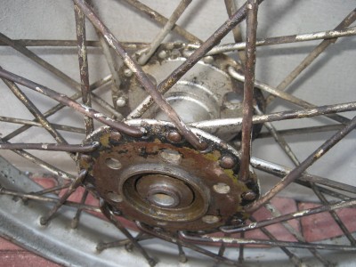 rats 008.JPG
