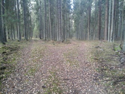 Fotoattēls0006.jpg