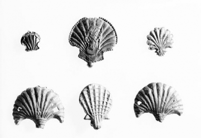 image001.jpg