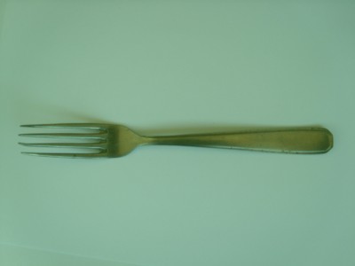 SL275573.JPG