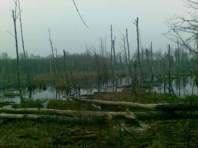 06042008.jpg