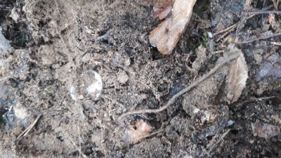 20191102_140628.jpg
