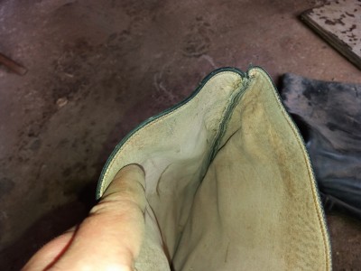 20190319_130026.jpg