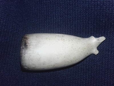 20191106_182244.jpg
