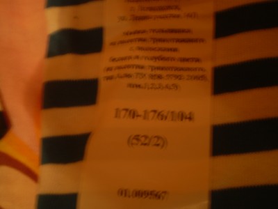 P1010040.JPG